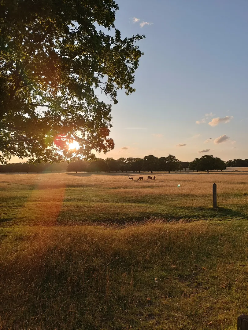 LauraBonini_11_risultato