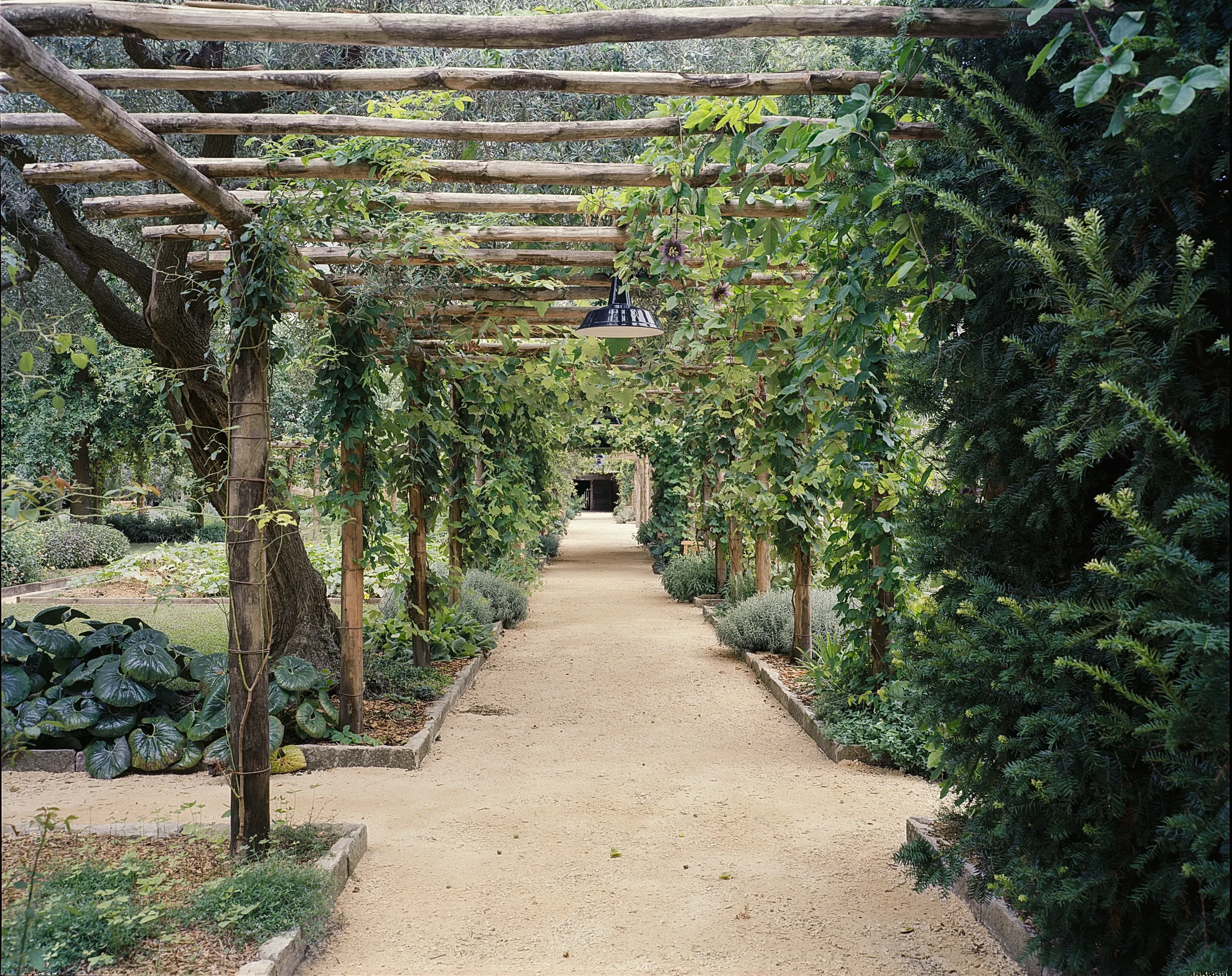 pergolato orto giardino redentore