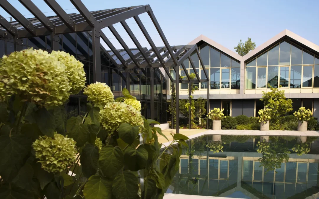 Geometria e cosmetica, nel giardino Davines