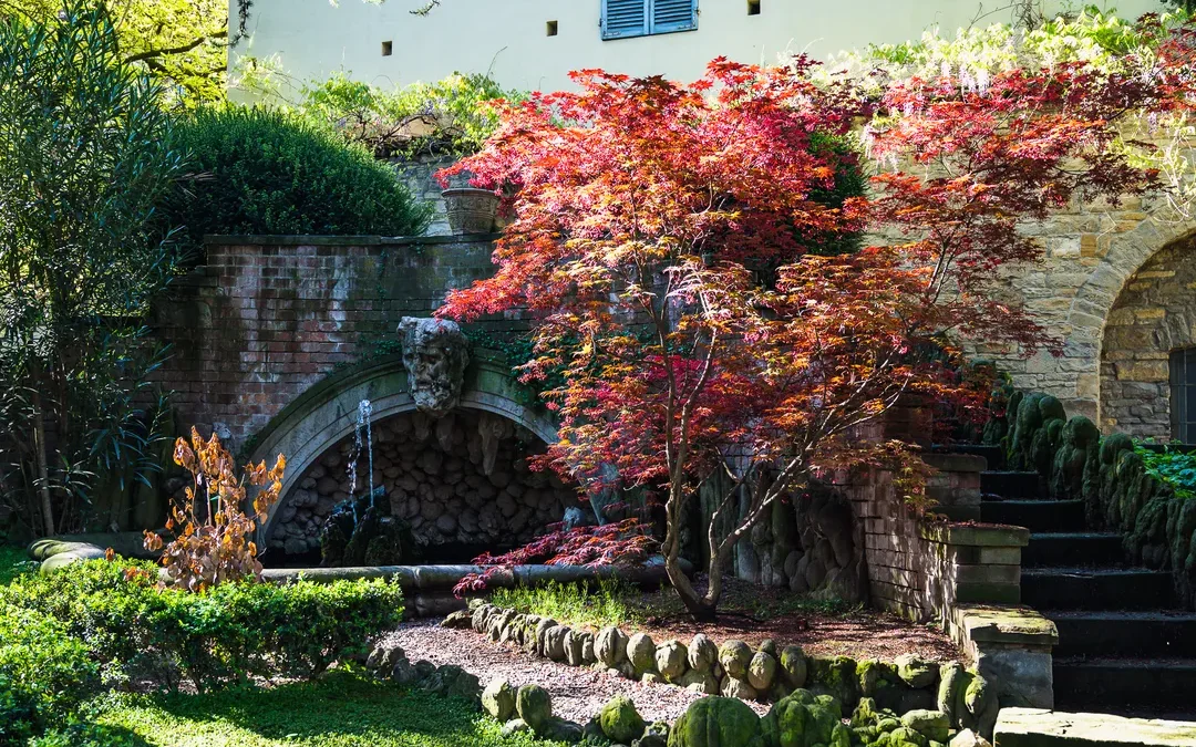 Dentro il sogno dell’architetto Arata