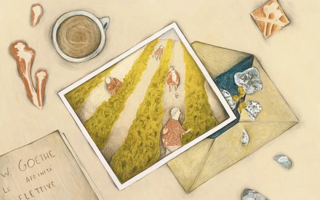 Scrivere un giardino