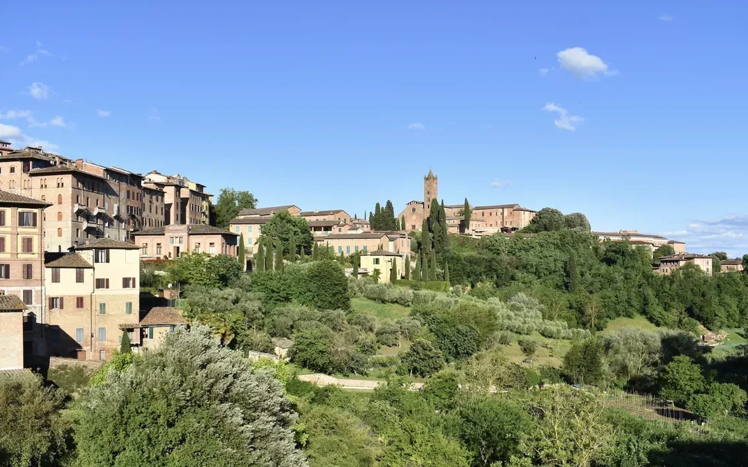 A Siena il Palio si prepara in giardino