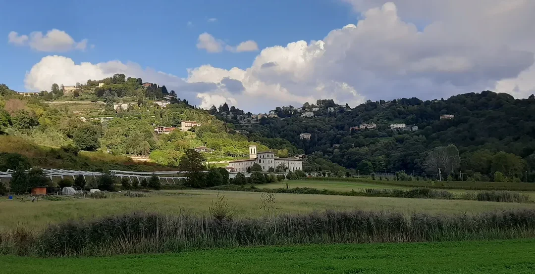 Giardinieri che curano piante e persone