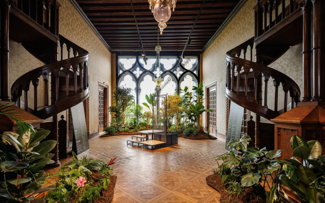 Un giardino creolo a Venezia