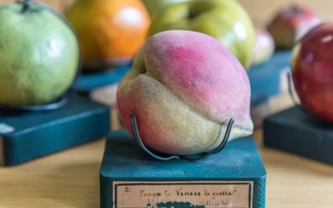 Frutti artificiali… ma naturali