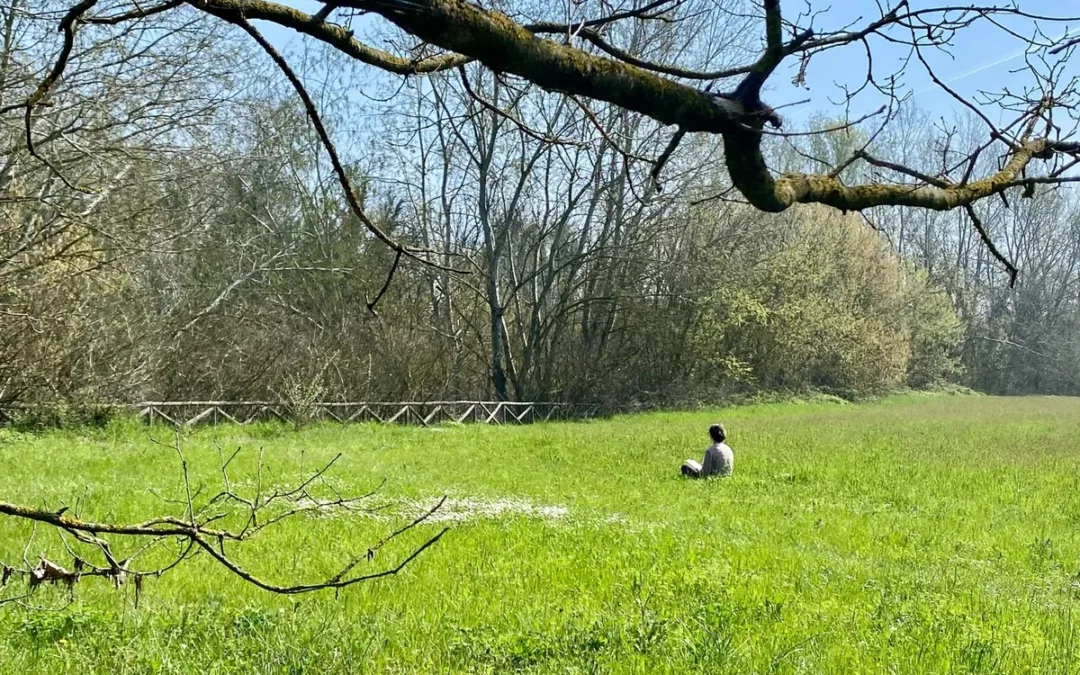 Shinrin-Yoku, un tuffo nel verde