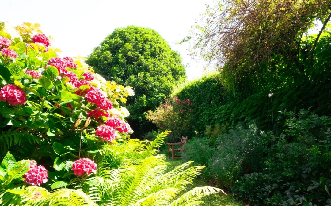 Speciale Interno Verde Vicenza 2024