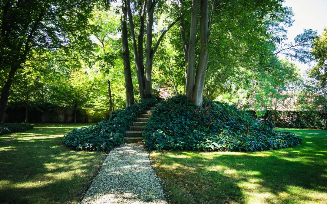 Speciale Interno Verde Ferrara 2024