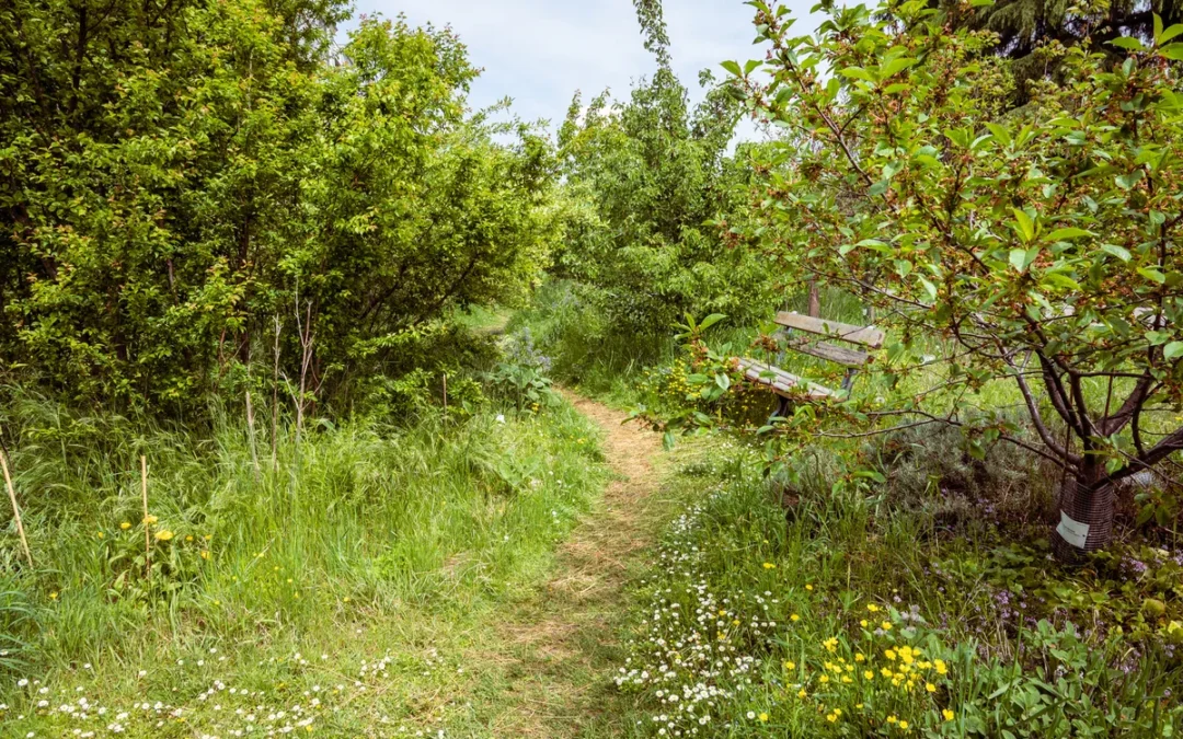 La foresta commestibile di Parma