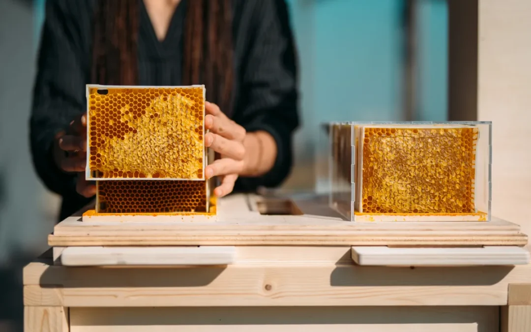 Produrre miele in balcone? Si può fare!