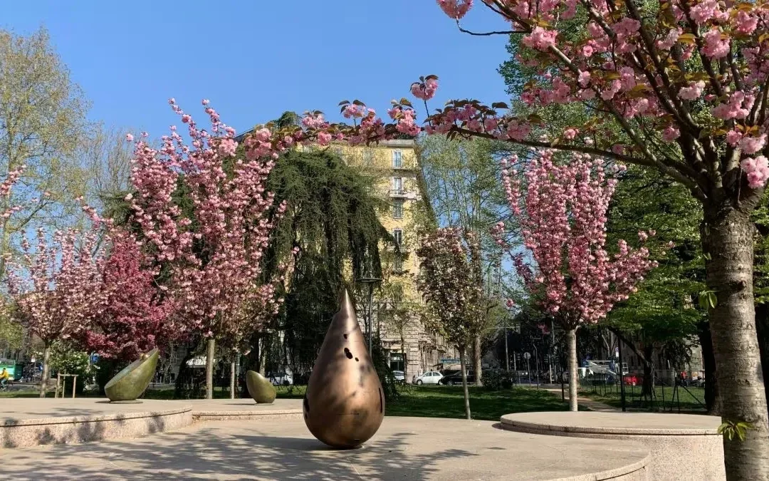 Hanami a Milano