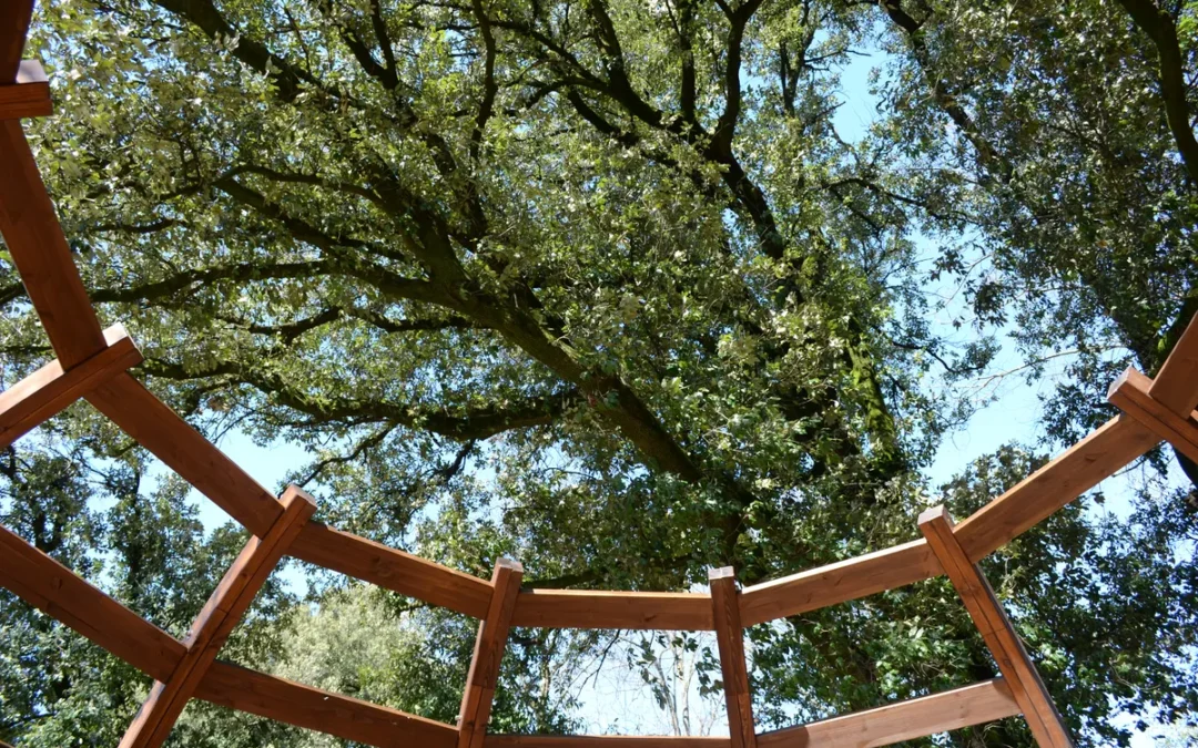 Nel Bosco ritrovato di Villa Valmarana