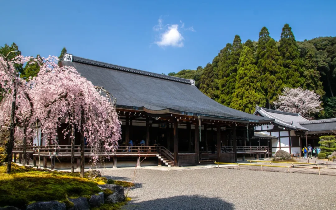 In Giappone, nel Tempio del Muschio