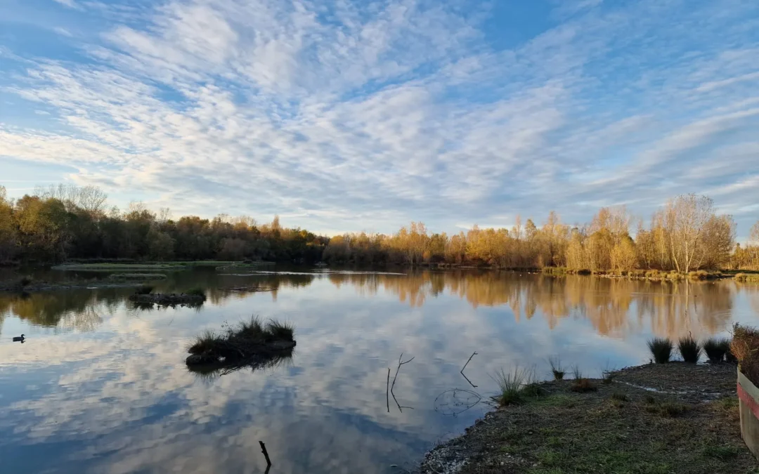 La Rizza, risaia che diventa oasi