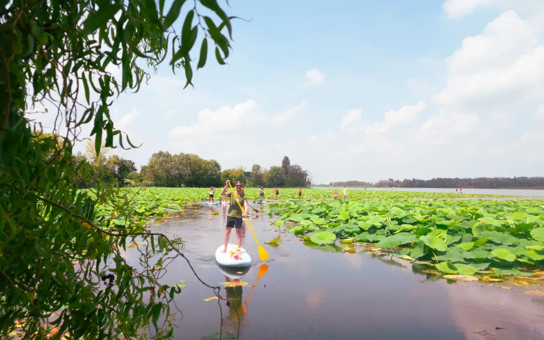 Speciale Interno Verde Acqua Mantova