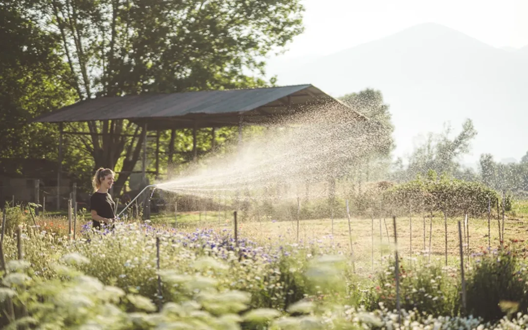 Tra i fiori stagionali, nei Giardini di Mafalda