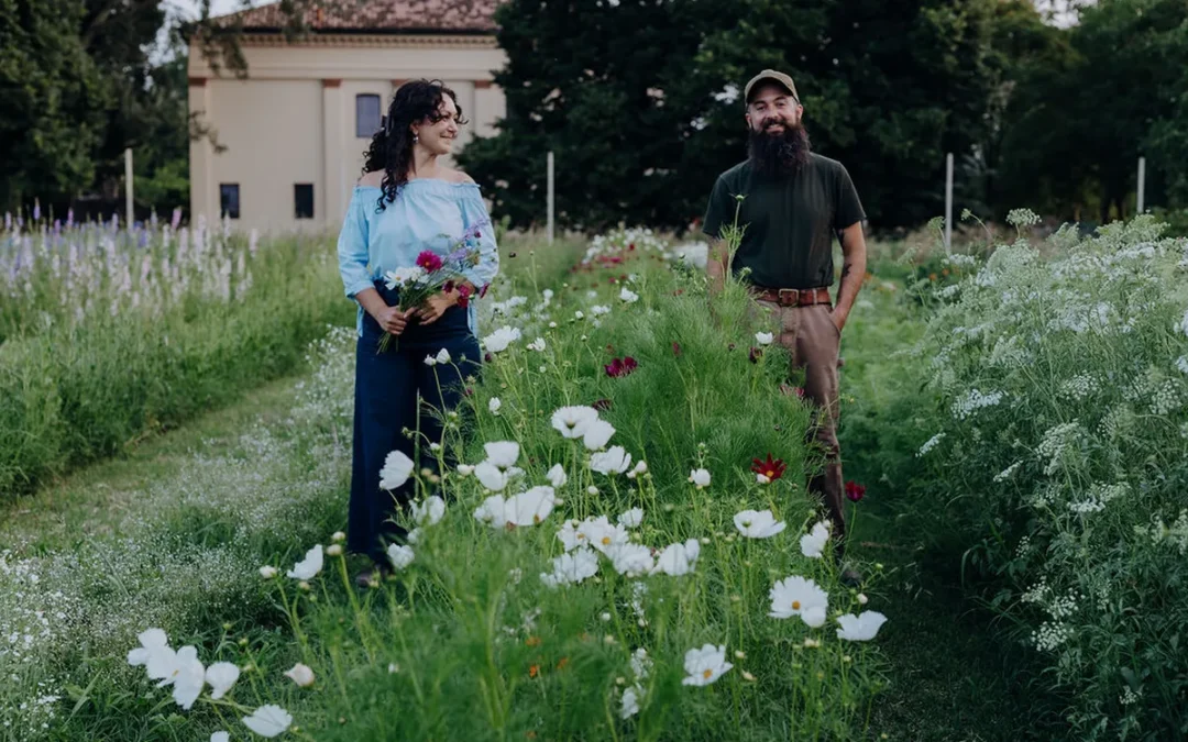 Wild Flowers, sensibili alle stagioni