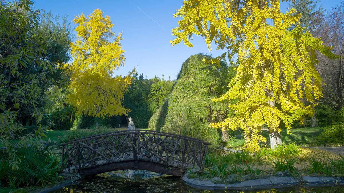 ponticello e alberi nel giardino storico Ludwig Winter a Borgo Seghetti Panichi, primo parco bioenergetico europeo nelle Marche