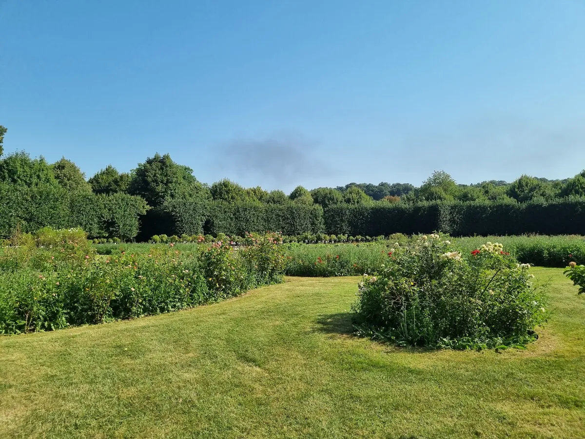 Roseto nei giardini di Vienna con prato verde, aiuole di rose e siepi curate