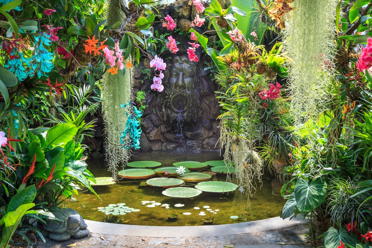 Vasca con Victoria amazonica e orchidee nella serra tropicale, Giardini La Mortella Ischia