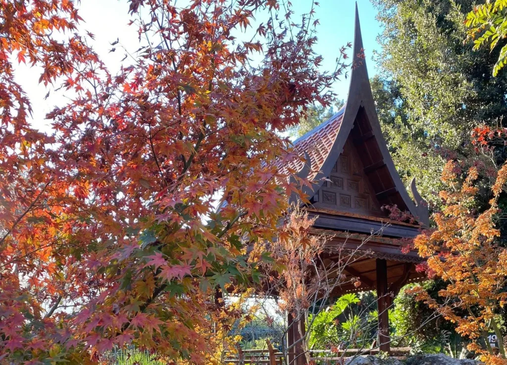 Tempio thailandese circondato da aceri giapponesi in autunno, Giardini La Mortella Ischia