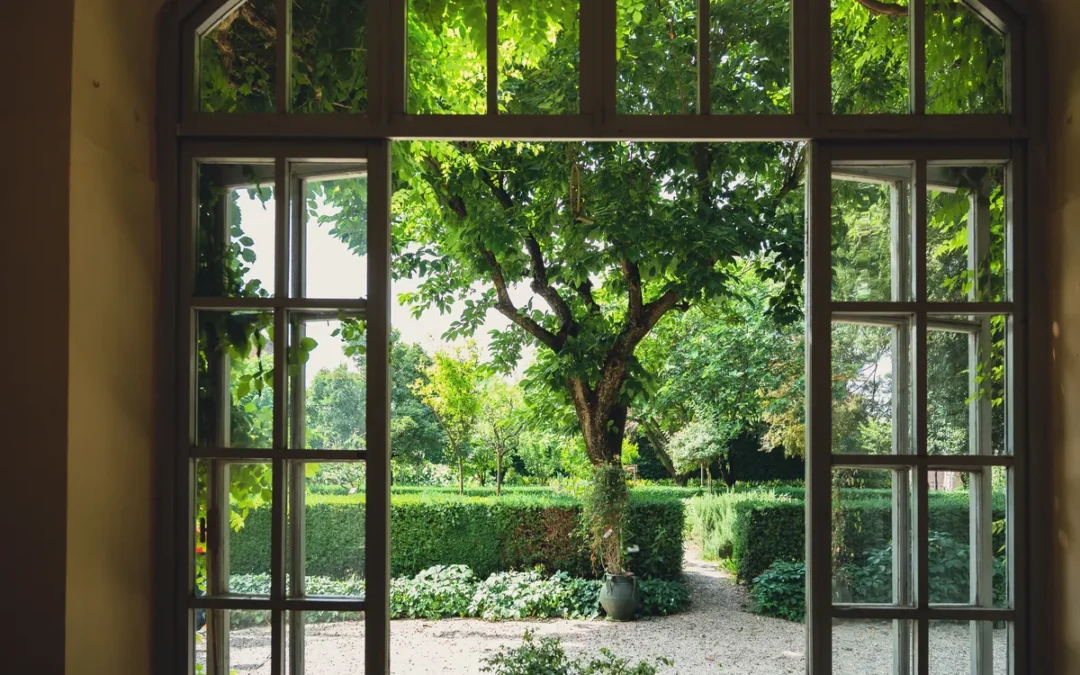 A Palazzo d’Arco la mostra “Piante acquatiche”