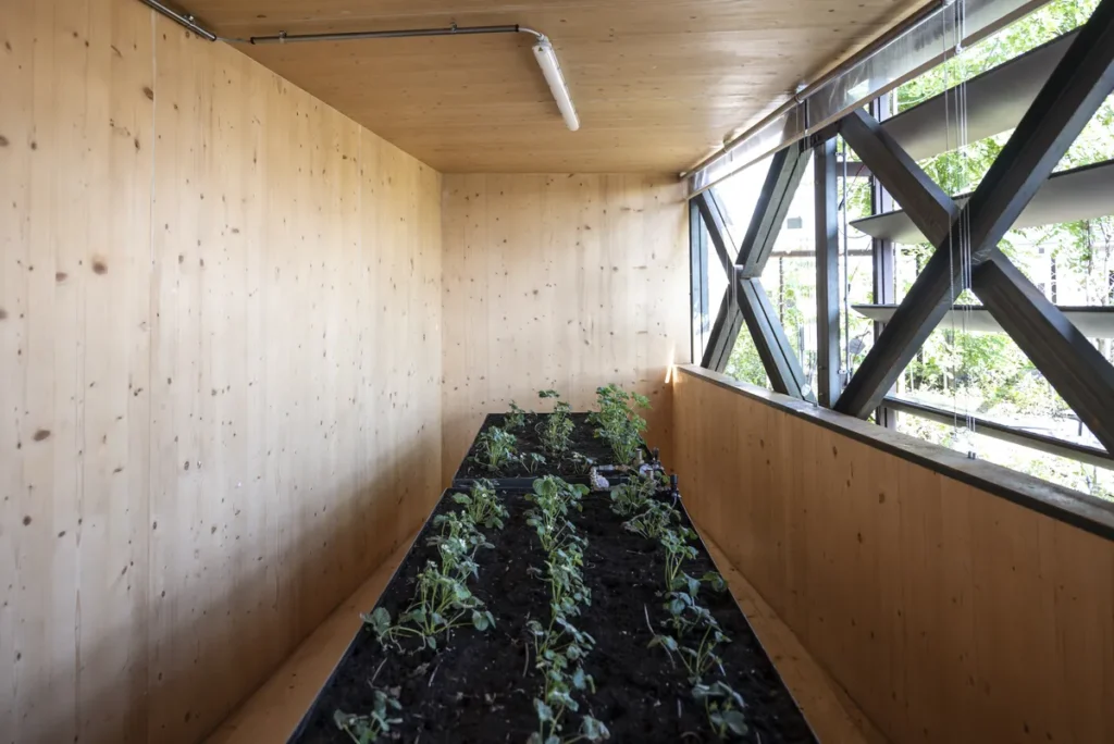 Serra interna con coltivazione di fragole in legno, The Heat Garden Torino