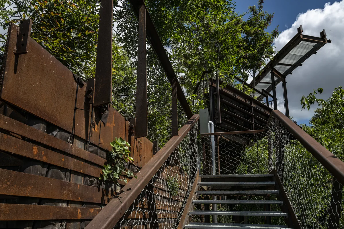 Scala metallica in acciaio corten circondata da alberi, The Heat Garden Torino