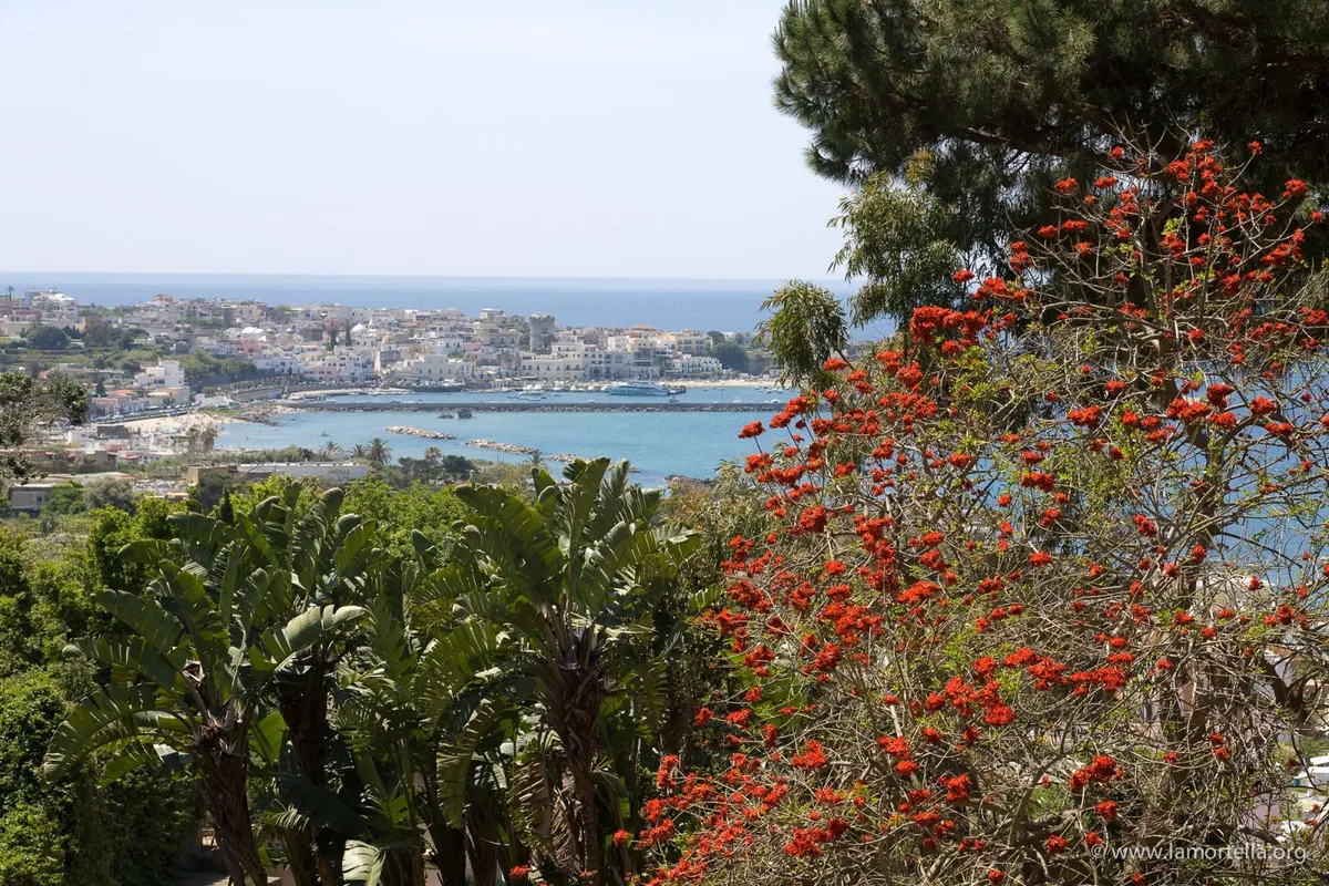 Vista panoramica su Forio e il mare dalla zona collinare dei Giardini La Mortella, Ischia