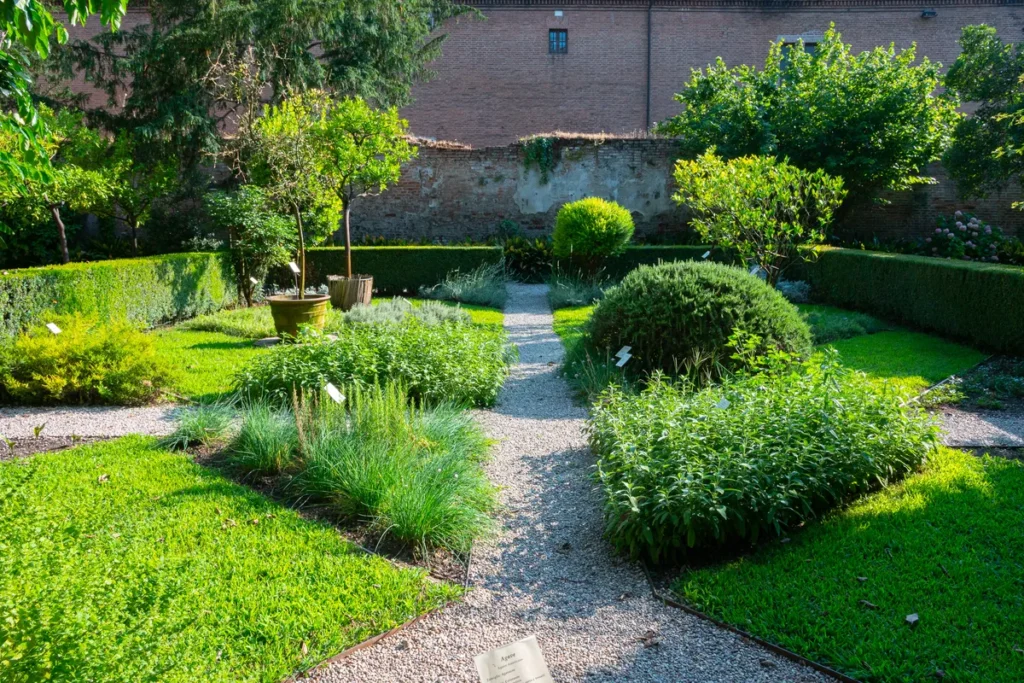 Labirinto formale con siepi di erbe aromatiche, giardino Palazzo d'Arco Mantova