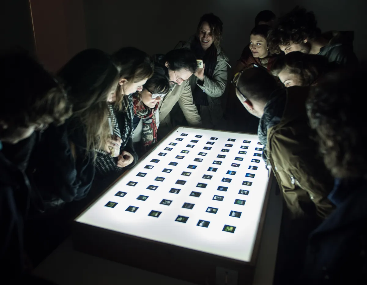 Tavolo luminoso con diapositive ordinate del progetto fotografico Giardini Trasparenti, Paolo Zappaterra
