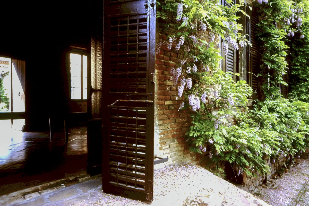 Glicine in fiore su cortile di palazzo ferrarese con persiane, fotografia Paolo Zappaterra