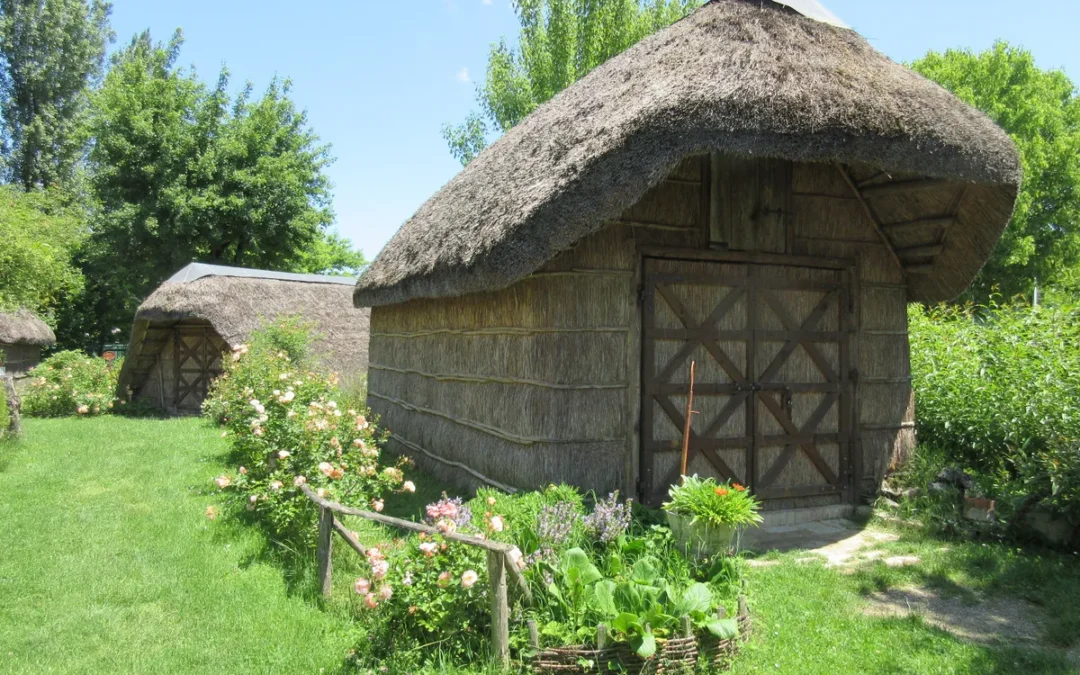 Erbe palustri e dove trovarle (in Romagna!)