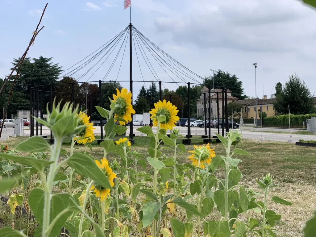 Girasoli al Prato della Fiera Girasoli davanti a una struttura a cavi.