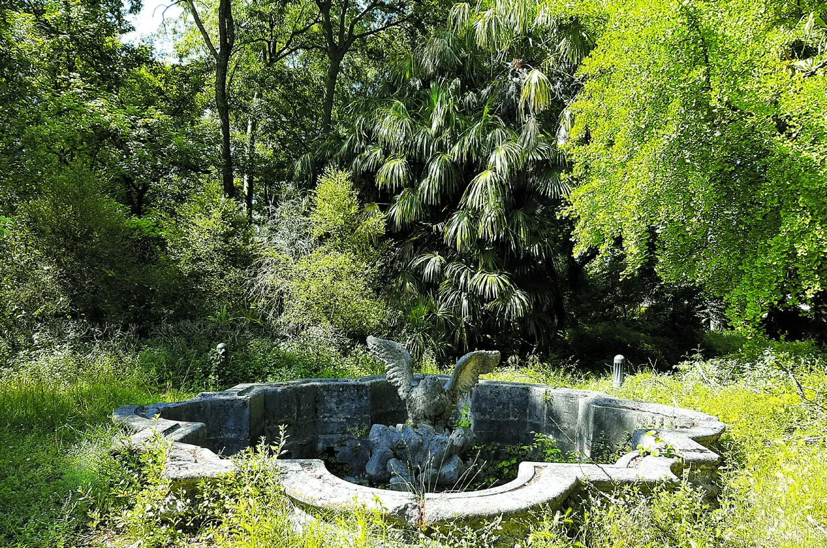 fontana semi abbandonata tra gli alberi